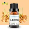 Aceite de Germen de Trigo, Aceite de Origen Vegetal, Aceite de Germen, Materias Primas para Cuidado de la Piel y Cosméticos, Suministro Mayorista de Aceite Base