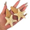 Pinza para el cabello de estrella de mar súper hada de playa navideña estilo vacacional flequillo lateral grande postizos accesorios para el cabello 2025 nuevo tocado