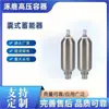 Acumulador de Vejiga de Acero Inoxidable Contenedor Vertical de Nitrógeno Líquido Tanque Pequeño de Almacenamiento de Gas a Alta Presión Material de Acero Inoxidable Resistente a la Corrosión