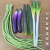 Pimentas, Milho Falso, Alho, Amendoins, Vegetais, Frutas, Restaurante de Fazenda, Decorações de Modelo de Campo de Horta, Cordas para Pendurar