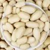 Cacahuates Pelados Nuevos, Cacahuates Enteros Pelados, Ingredientes Crujientes de Copo de Nieve Triturado 500g