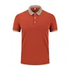 Camisa Polo Formulación Uniforme Escolar de Verano Camiseta de Manga Corta Ropa de Trabajo Cultura Publicitaria Camisa con Cuello Ropa de Trabajo Logo Impreso Personalizado