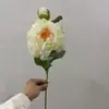 Peonía de borde quemado flor artificial pintura al óleo vintage peonía de borde horneado flor de seda sala de estar interior decoración del hogar accesorios de fotografía