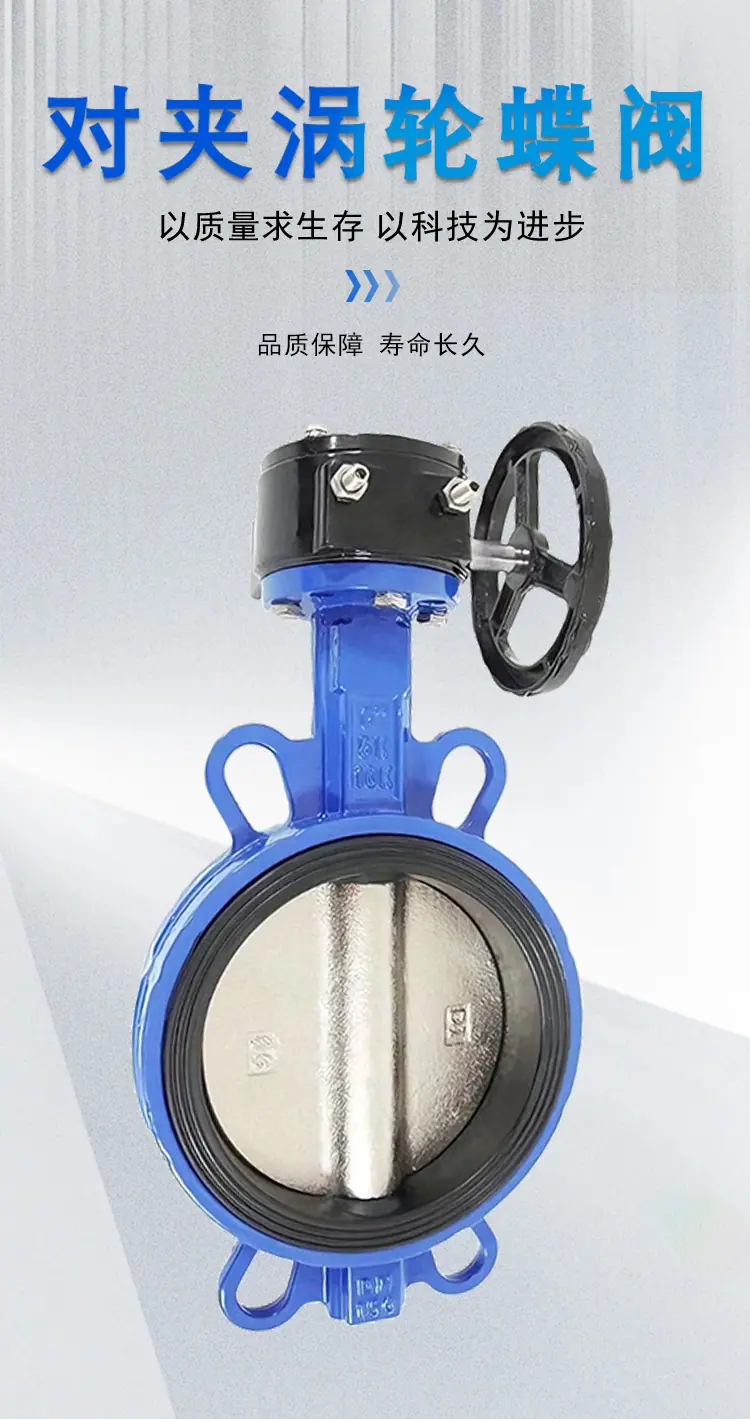 对夹涡轮蝶阀详情图_01