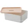 Caja de almacenamiento de ropa interior de escritorio con tapa caja de almacenamiento de plástico caja clasificadora de sujetadores ropa interior calcetines 7249