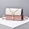 Bolsa Transversal Feminina 2025 Nova Versátil Bolsa de Ombro Tendência Bolsa Feminina Nicho High-End Pequena Quadrada de Mão