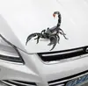 AliExpress eBey Amazon WISH más vendidos Directo de Fábrica Araña zhu lagarto animal pegatinas de coche pegatinas de simulación