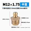 Boquilla de Engrasador de Boquilla de Engrase Métrica Estándar Nacional Pistola de Engrase M6810