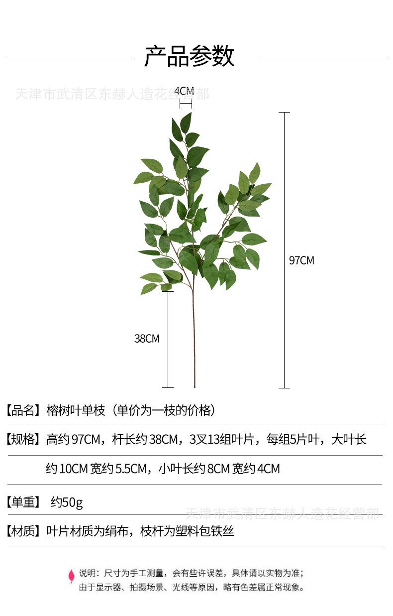 详情_01.jpg