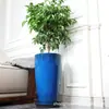Macetas de Plástico Cerámico Imitación Transfronterizas, Macetas Retro de Resina de Alto Brillo para Sala de Estar, Adecuadas para Cultivar Monstera y Árbol del Dinero, Personalizables