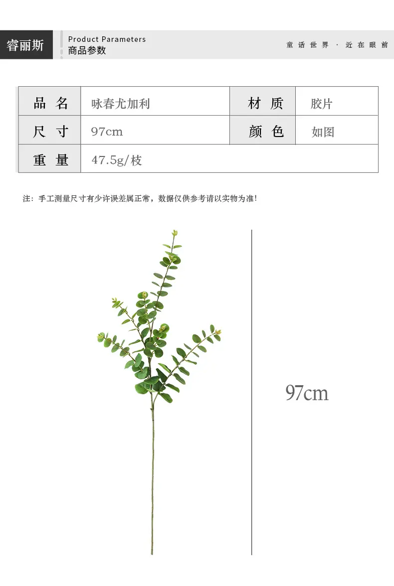 咏春尤加利_03.jpg