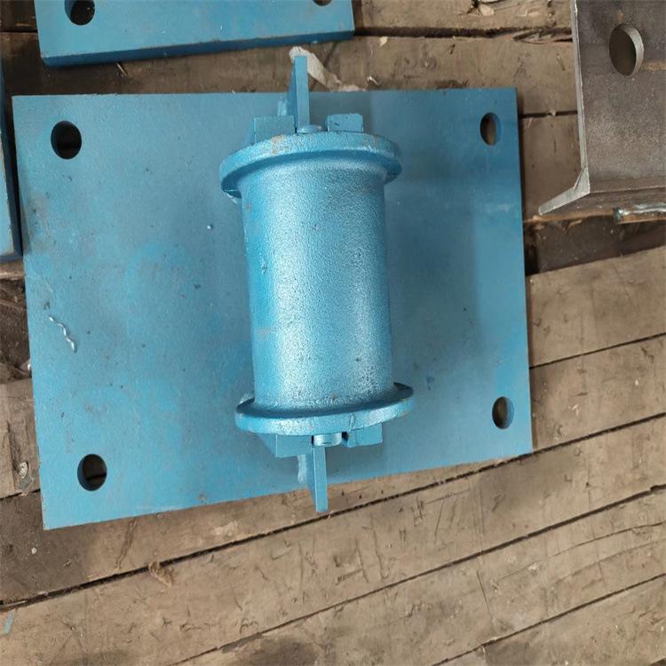 液压张紧装置 (10)