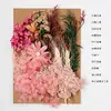 Bolsa de Materiales DIY Flor Seca Inmortal Tuanjian Marco de Fotos Pintura Tarjeta de Felicitación Tuanfan Ramo Pequeño Hecho a Mano Flor Real Bolsa de Flores en Relieve