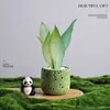 Árbol del Dinero Planta en Maceta Decoración Creativa de Planta para Escritorio Flor y Planta Verde para Oficina Adorno Hiedra Coco Rico Verde Bonsái Pequeño