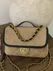 Mochila de Moda Popular Estilo Coreano para Mujer Otoño e Invierno 2025 Nueva Mochila Pequeña Casual Simple Acolchada Bolso con Cadena
