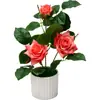 Plantas artificiais de rosa em vaso para decoração de casa, display de mesa, fabricante de rosas com bordas onduladas, pequenas plantas em vaso criativas - Amazon transfronteiriça