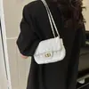 Bolso bandolera INS para mujer 2024 nuevo diseño de moda acolchado pequeño cuadrado con cierre de cadena bolso de hombro
