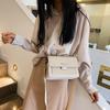 2021 Nuevo Diseño Nicho Bolso Pequeño para Mujer Estilo Coreano Bolso Cuadrado Pequeño Correa Ancha para el Hombro Moda Combinable Bolso de Hombro Cruzado