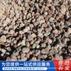 Filtro de Pedra Vulcânica Material de Filtração Envio Direto da Mina Pedra Vulcânica Multicolorida Rocha Vulcânica Vermelha Aterro de Zonas Úmidas Restauração Ecológica Pedra Vulcânica