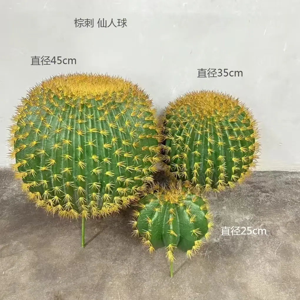 棕刺 仙人球.jpg