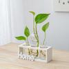Vaso de Vidro Simples Fresco Ins Planta Hidropônica Transparente Arranjador de Flores Sala de Estar Decoração de Casa Enfeites