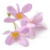 Orquídea Ramo Pequeño Flor Artificial Hecha a Mano Antigua Producción DIY Flor de Muñeca Accesorios para Peinado Material Decoración de Flores