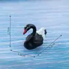 Microadornos paisajísticos DIY decoración carnosa 2 pares de adornos de animales cisne blanco y negro bonsái creativos adornos pequeños de plástico