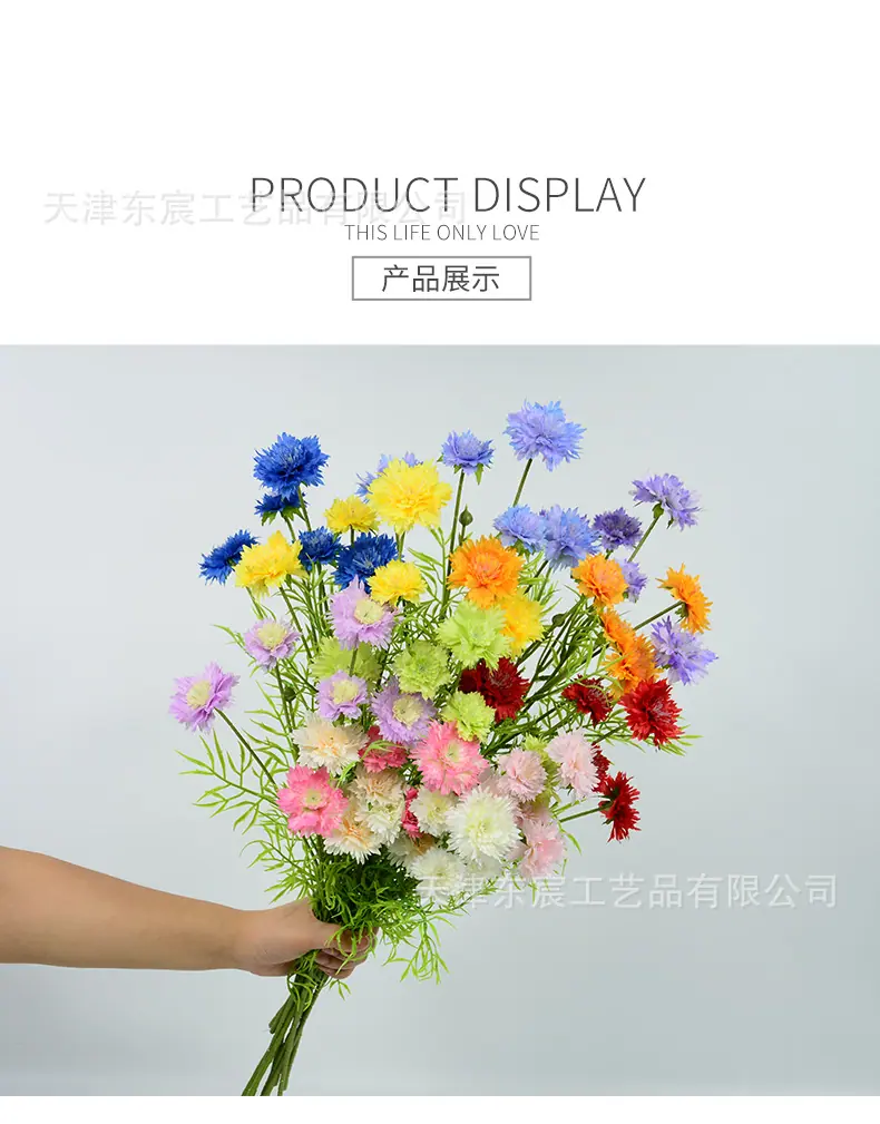 详情_05.jpg
