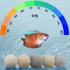 Aquário esfera oca de quartzo material filtrante cultivo de bactérias nitrificantes purificação de água casa de bactérias nano material de filtro de aquário