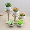 Decoraciones de plantas suculentas artificiales para interiores, oficina, adornos pequeños, plantas verdes, combinación de micro paisajismo, mobiliario con plantas en maceta