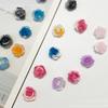 2023 nova camélia manicure jóias lote misto pintura a tinta camélia manicure material pacote manicure decorações