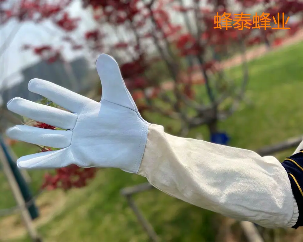 psc (3)_副本