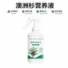 Solución Nutritiva de Pino Australiano para Plantas Verdes de Interior en Maceta, Enraizamiento, Fortalecimiento de Hojas, Promoción del Crecimiento, Mejora del Color, Aumento del Verde, Cuidado de Plantas en Maceta