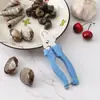 Tijeras especiales para cortar colas de caracol sin resbalar, diseñadas para caracoles y caracoles de campo