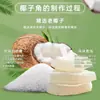 Snacks Crujientes de Coco, una Especialidad de Hainan, Perfectos para la Oficina y el Ocio, Satisface Antojos, Deliciosas Frutas Confitadas y Frutas Secas en una Bolsa