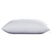 Hotel Hotel Pillow Core Cross-border Amazon School Hospital Homestay Algodão Feather Velvet Single High and Low Pillow Core