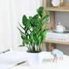 Árvore da Fortuna Planta em Vaso Grande Árvore da Fortuna Planta Verde Pequena Árvore da Fortuna Sala de Estar Escritório Flores de Interior Bonsai Cordão da Fortuna