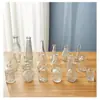 Fabricante Europeu de Vasos Pequenos Atacado Vaso de Vidro Simples Transparente Retro Arranjo de Flores Multi-Especificação Vaso de Bolso