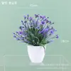 Planta Artificial de Lótus de Plástico em Vaso Pequena Grama de Primavera Estilo Ins Decoração de Planta Verde para Interior Vitrine Mesa Planta Verde Artificial