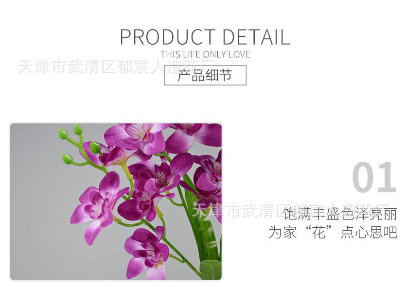 详情_08.jpg