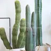 Cactus Rascacielos Plástico Simulación Cactus Plantas de Arena Tropical Celebridad de Internet Decoraciones para Casa de Huéspedes Restaurante