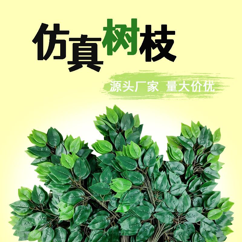 榕树叶_01.jpg