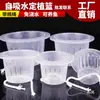 Cesta de Plantio Hidropônico, Cesta de Fixação de Plantas para Cultivo em Solo, Cesta de Flores para Vaso de Vidro, Recipiente Hidropônico, Dispositivo de Fixação para Raiz de Rabanete Verde e Bambu da Sorte