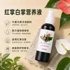 Solução Nutricional Especial para Antúrio Branco e Antúrio Vermelho, Promove a Floração, Previne Folhas Amarelas, Crescimento Saudável, Fertilizante de Uso Geral para Antúrio