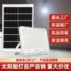 Holofote Solar Transfronteiriço Estilo Maçã Iluminação com Sensor para Pátio e Casa Luz de Rua LED à Prova d'Água Estilo Sudeste Asiático