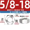 Colección de Tuercas de Acero Inoxidable 304 Estándar Americano y Británico Rosca Fina Unf Tuercas Hexagonales Tuercas de Rosca Fina Británicas 1/4-1/2
