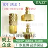 Conector Rápido Feminino Neutro de Três Vias Estilo Alemão Estilo Europeu Estilo Americano Conector de Engate Rápido Interface Feminina de Puxar Rápido Pneumática Conector Macho