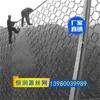 Red de protección pasiva tipo Rxi-200 Chongqing Red de protección pasiva tipo Rxi-100