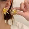 Aretes Antiguos Exquisitos de Alta Calidad Fiesta de Noche Aretes Exagerados de Lujo Ligero Diarios Combinan con Todo Aretes Elegantes Venta al por Mayor para Mujeres