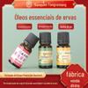Nanjing Tongrentang Absinto gengibre rosa planta óleo essencial massagem abrir para trás empurrar óleo facial raspagem folha de absinto óleo essencial